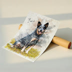 Custom Blue Heeler watercolour portrait on fine art paper — personalised dog wall art titled 'Banjo', shown as unfurled poster on mailing tube.