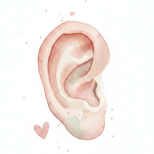 Watercolour ear illustration for the Listen with Empathy module
